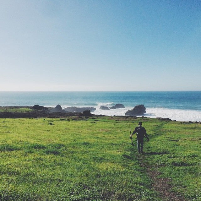 Big Sur Collection