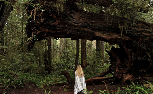 Big Sur Blanket Sandstone